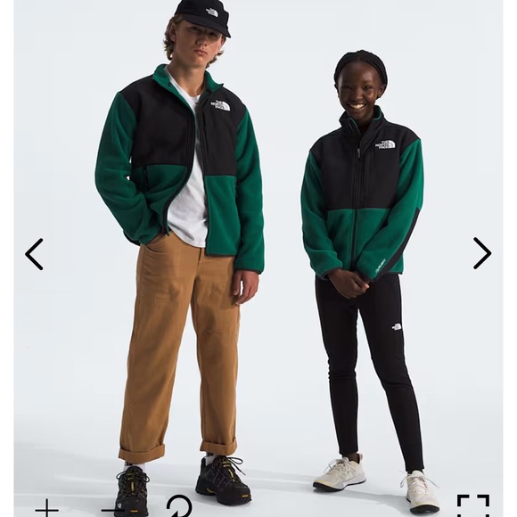 The North Face Denali Jacket